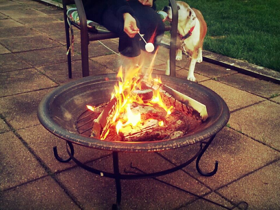 Song of the&nbsp;Week