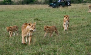 10376279_786371224756058_8538788702431511340_n